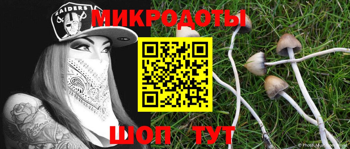 Шарыпово  Псилоцибиновые грибы мухоморы  Вход с VPN 